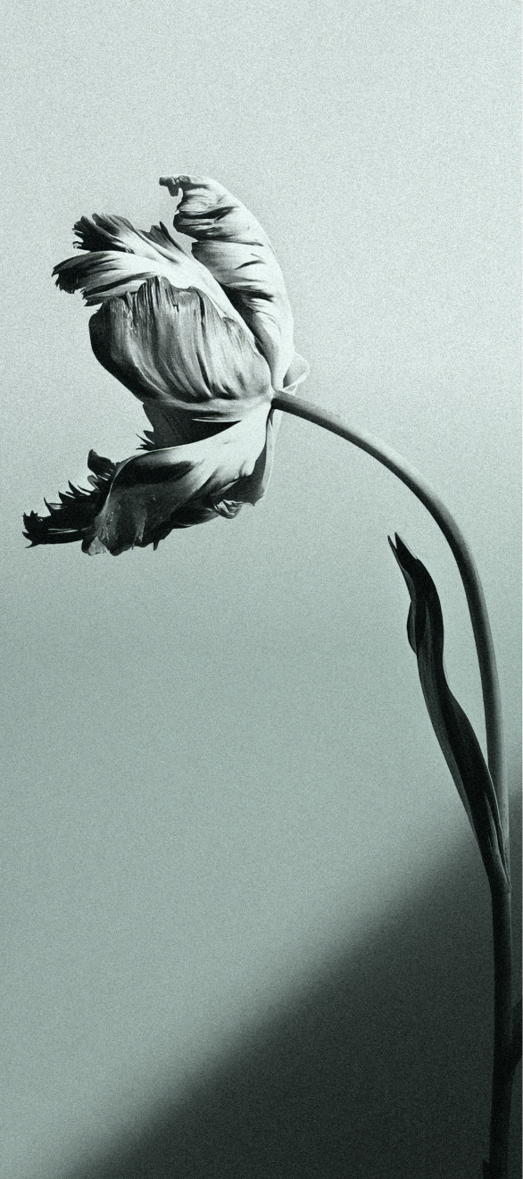 Subscribe to newsletter